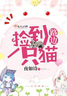 路边捡到一只猫